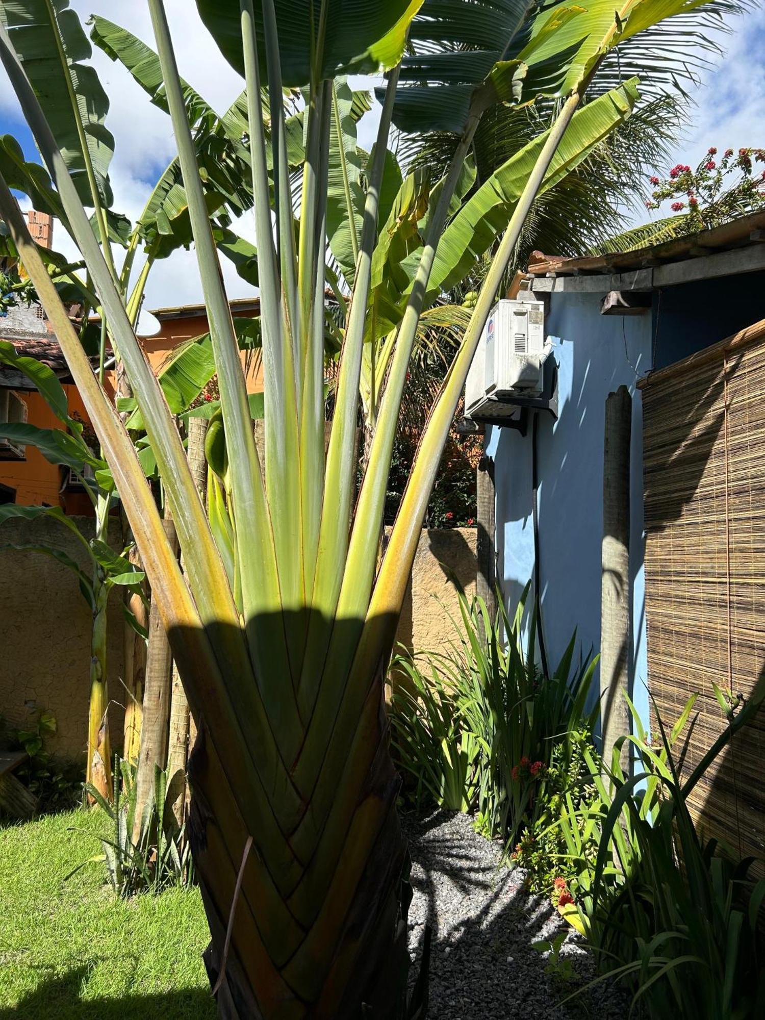 Casa Aratu - Caraiva酒店 外观 照片